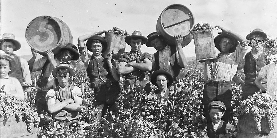 Black and white photo of workers in the vineyard.